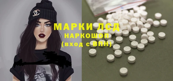 ECSTASY Алзамай