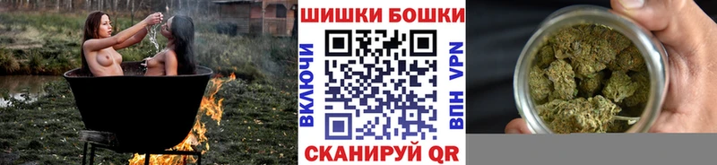сколько стоит Рошаль Бошки Шишки план